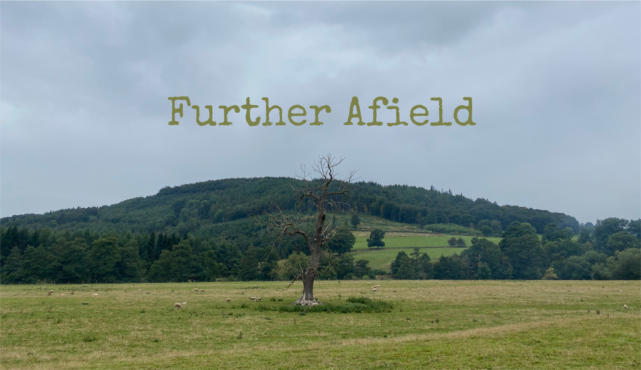 Further Afield4