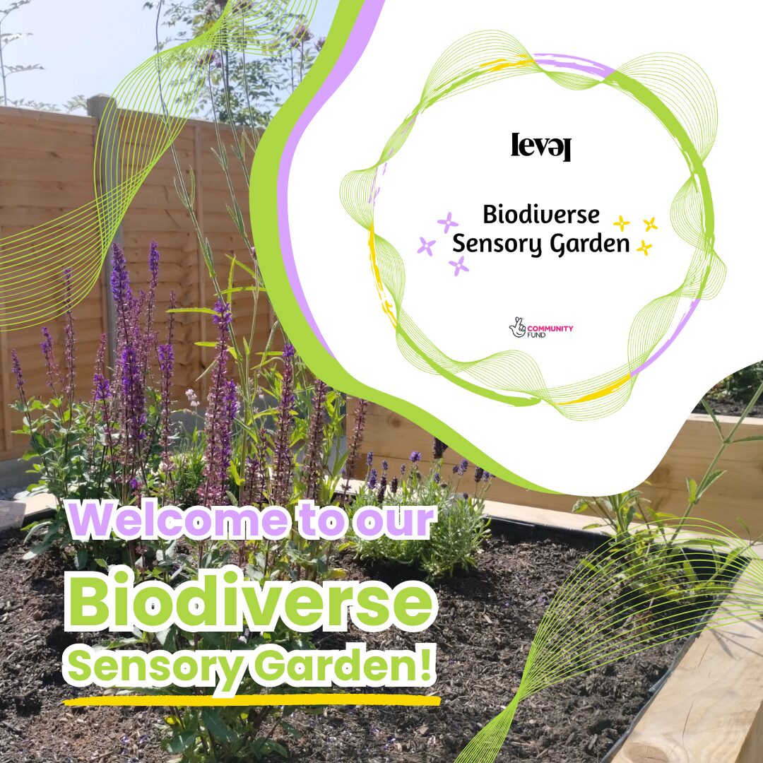 Garden Website An image of some wooden garden planters with purple and green plants in them. It's a sunny day. The LEVEL Biodiverse Sensory Garden logo sits in the top left garden. Purple and green text reads Welcome to our Biodiverse Sensory Garden.