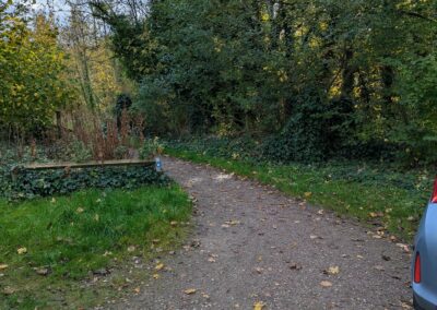 A path through trees