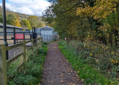A footpath through trees