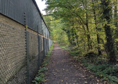 A footpath through trees