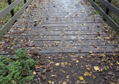 A boardwalk through trees