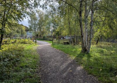 A footpath through trees
