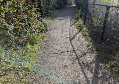 A footpath through trees