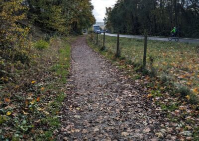A footpath through trees