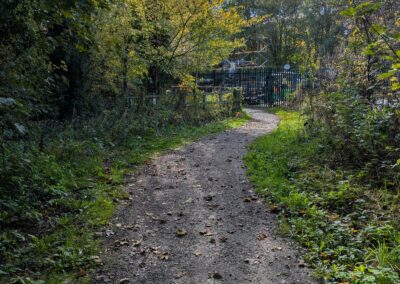 A footpath through trees