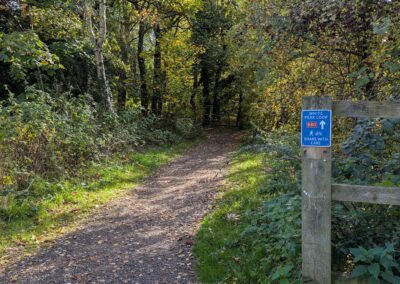 A footpath through trees.